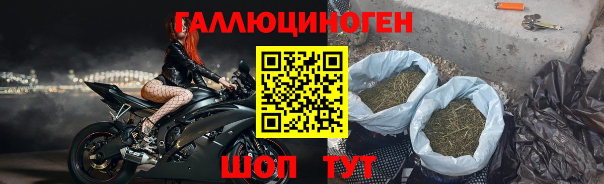 Галлюциногенные грибы мухоморы  закладки  Магадан  Вход с VPN 